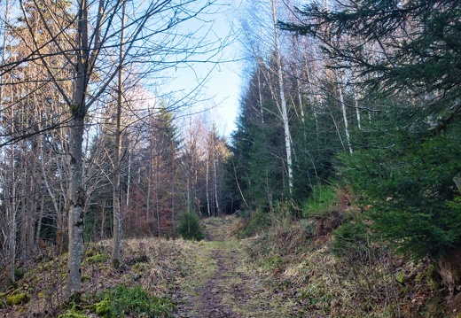 20220205202148-efaa19ac